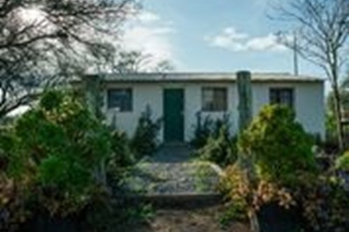 Famr and Vineyard (1)