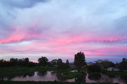 Famr and Vineyard (3)