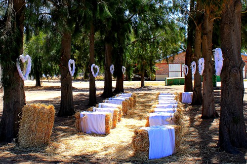 Weddings (6)